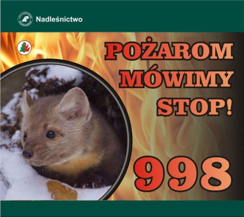 pozarom.jpg