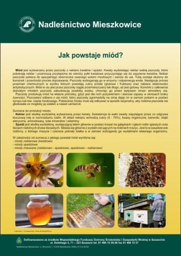 jak powstaje.jpg