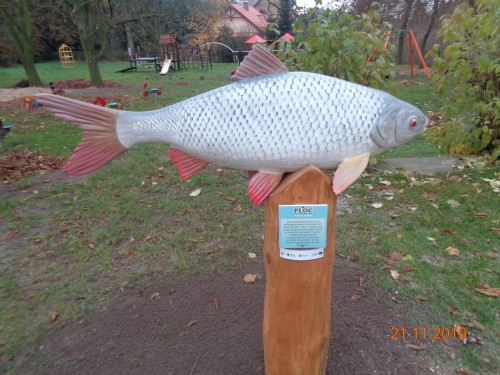 DSC02300.JPG