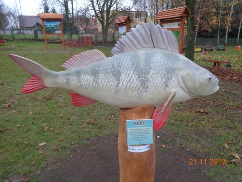 DSC02302.JPG