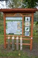 lakcja dendrologii.jpg
