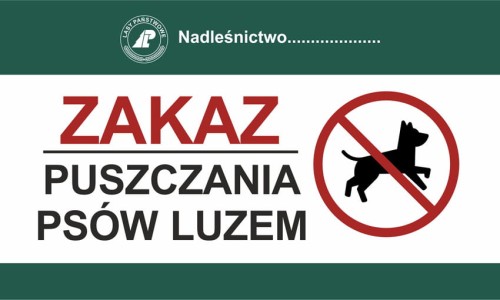 ZAK-28.jpg