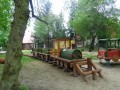 Lokomotywa z wagonami z drewna.JPG