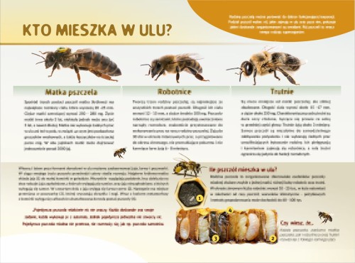 KTO MIESZKA W ULU-m.jpg