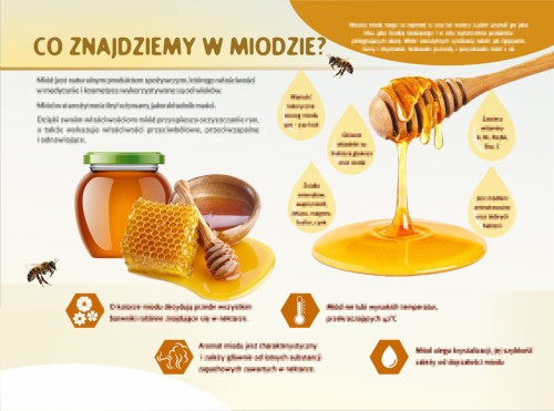 CO ZNAJDZIEMY W MIODZIE-m.jpg
