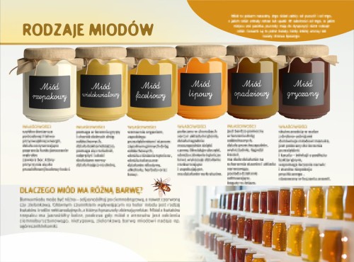 RODZAJE MIODU-m.jpg