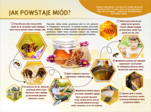 JAK POWSTAJE MIÓD-m.jpg