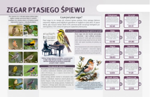 zegar ptasiego śpiewu-m.jpg