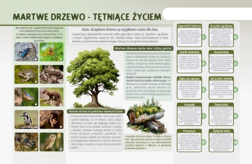 martwe drzewo-m.jpg
