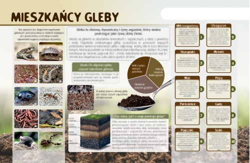 mieszkańcy gleby-m.jpg