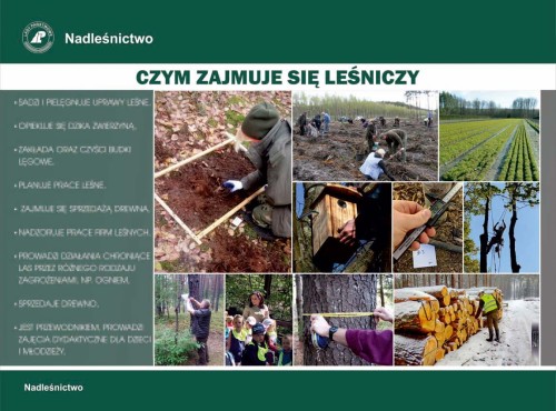 Czym zajmuje się leśniczy.jpg