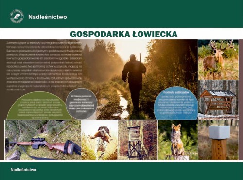 Gospodarka łowiecka.jpg