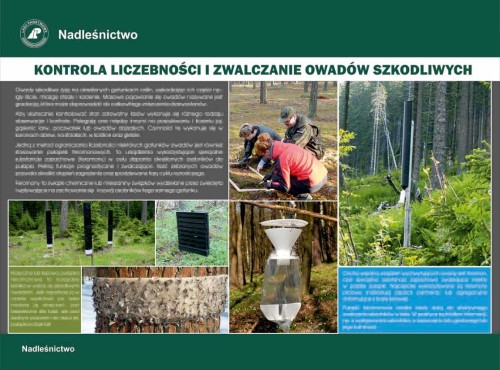 Pułapki na szkodliwe owady.jpg