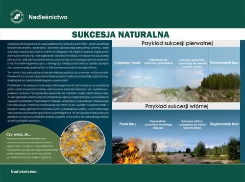 Sukcesja naturalna.jpg