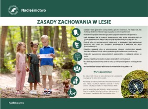 Zasady zachowania w lesie