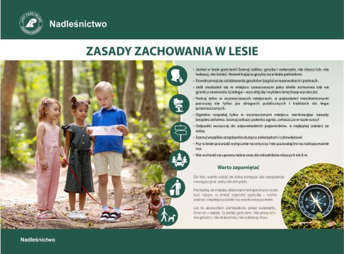 zasady zachowania w lesie.jpg