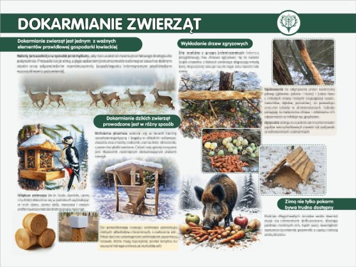 dokarmianie.jpg