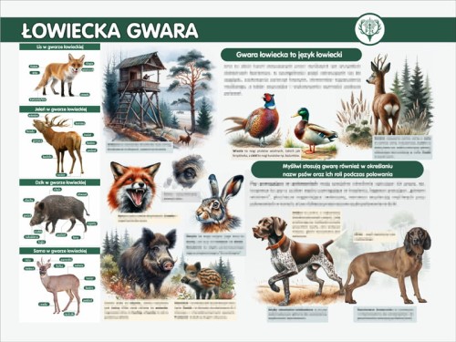 gwara.jpg