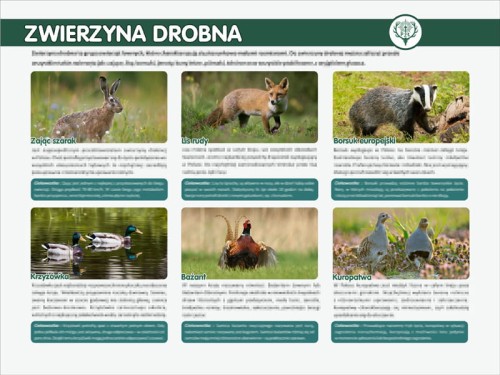 drobna zwierzyna.jpg