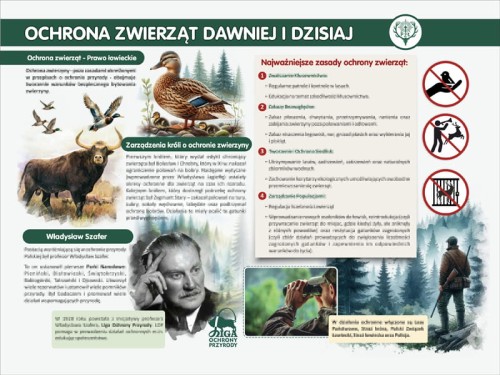 ochrona zwierząt.jpg