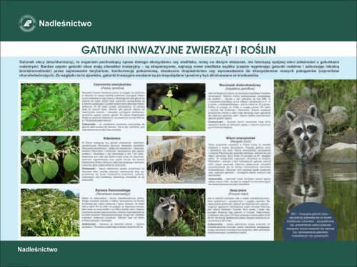 gatunki inwazyjne.jpg