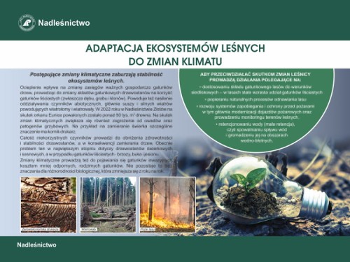 adaptacja ekosystemów.jpg