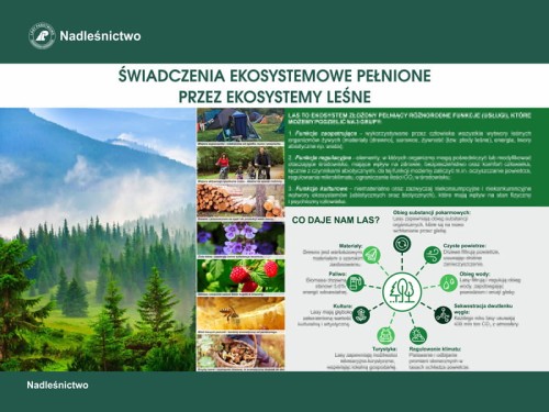 świadczenia ekosystemowe.jpg