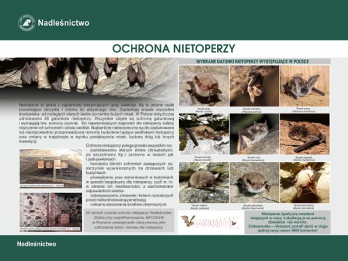 ochrona nietopezrzy.jpg