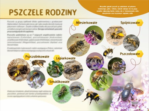 PSZCZELE RODZINY-s.jpg