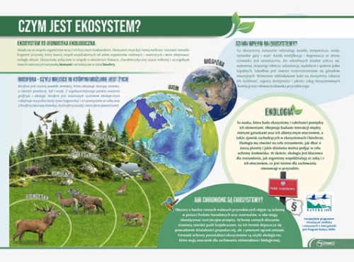 czym jest ekosystem.jpg