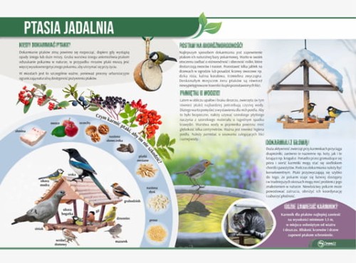 ptasia jadalnia.jpg