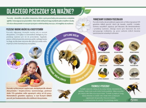 dlaczego pszczoły są ważne.jpg