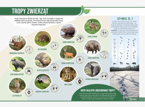 tropy zwierząt.jpg