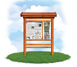 Obrotowy leksykon wiedzy - Owady