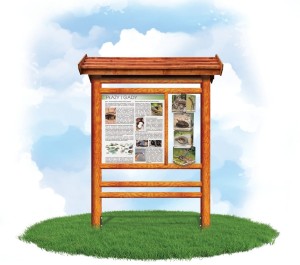 Obrotowy leksykon wiedzy - Gady i płazy