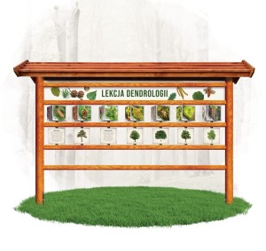 Lekcja dendrologii 3