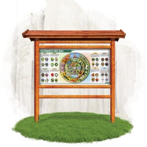 Koło wiedzy na tablicy  "Przyrodnicze pory roku"