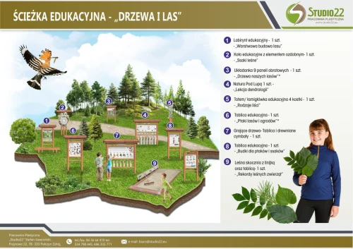 drzewa i las studio22.jpg