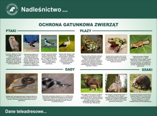 ochrona zwierzat.jpg