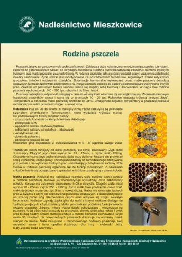 rodzina.jpg