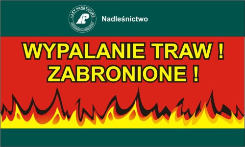 wypalanie.jpg