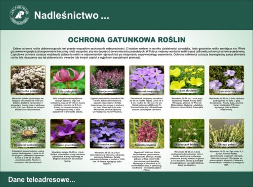 ochrona gatunkowa.jpg