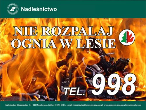 nie rozpalaj ognia w lesie.jpg