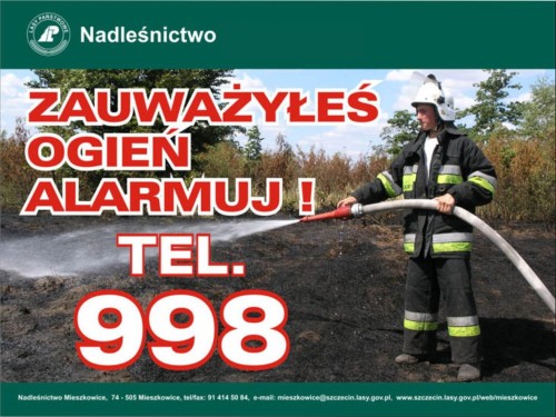 ogień alarmuj.jpg