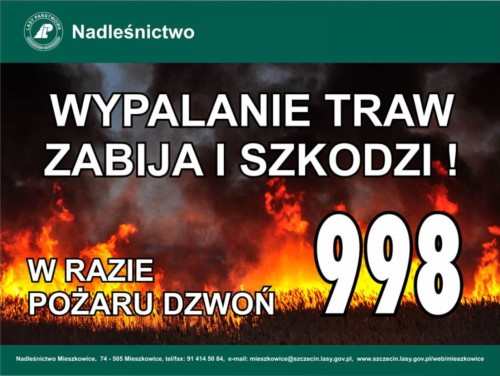 wypalanie traw.jpg