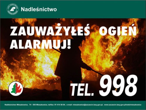 zauwarzyles.jpg