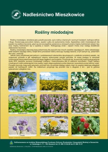rosliny.jpg