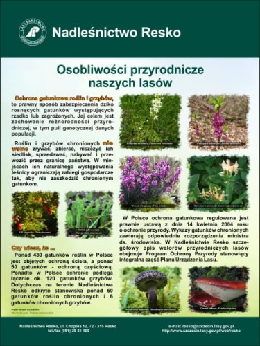 osobowosci.jpg