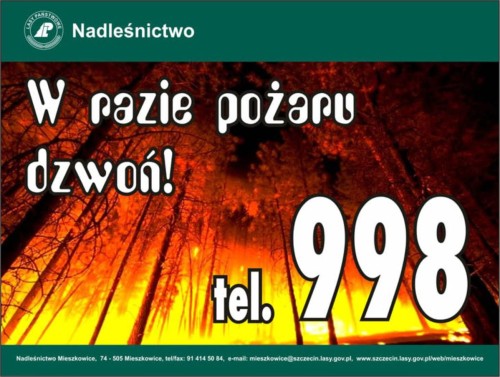 Kopia_zapasowa_katalog szary.jpg