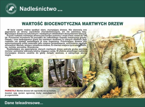 wartosc.jpg